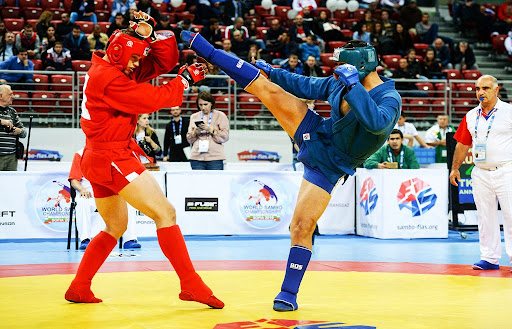 sambo combat