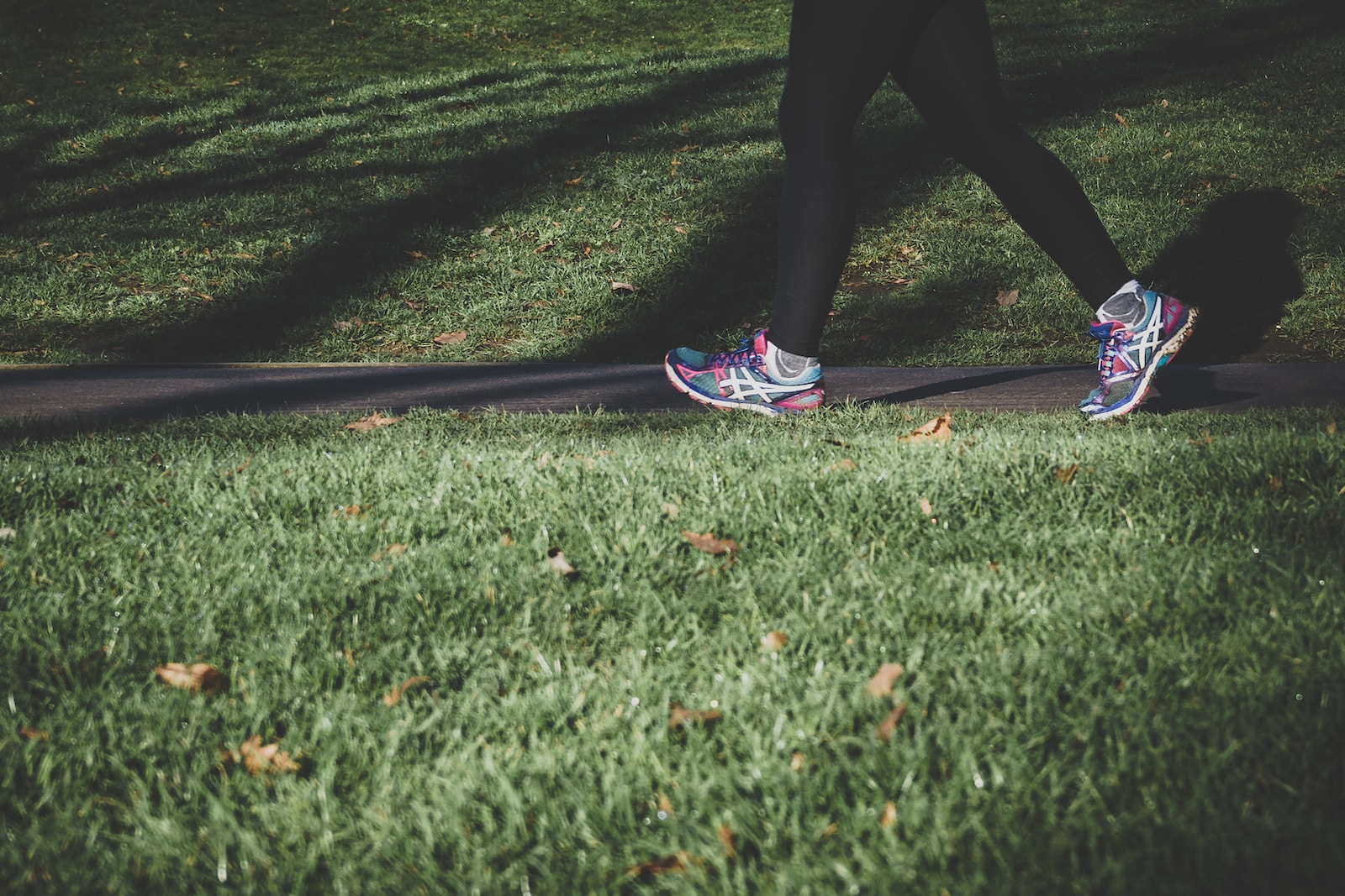 Les Bienfaits De La Marche_Park_ballade