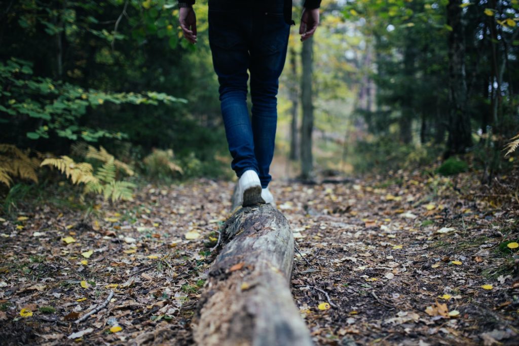 PGM KORTAL_Walk_Forest