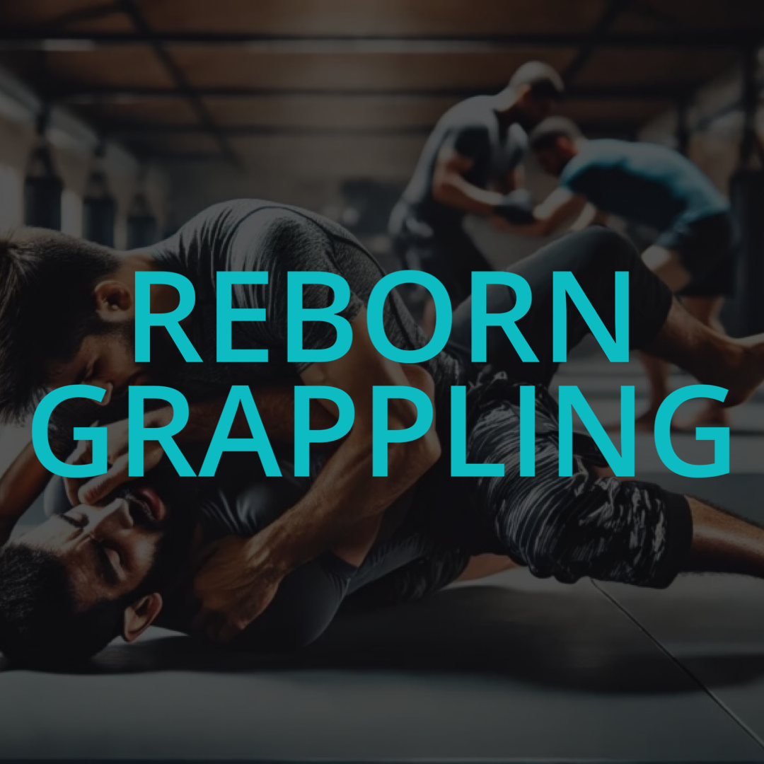PGM KORTAL Web Site Affiches REBORN Grappling PGM KORTAL Web Site Affiches REBORN Triptik