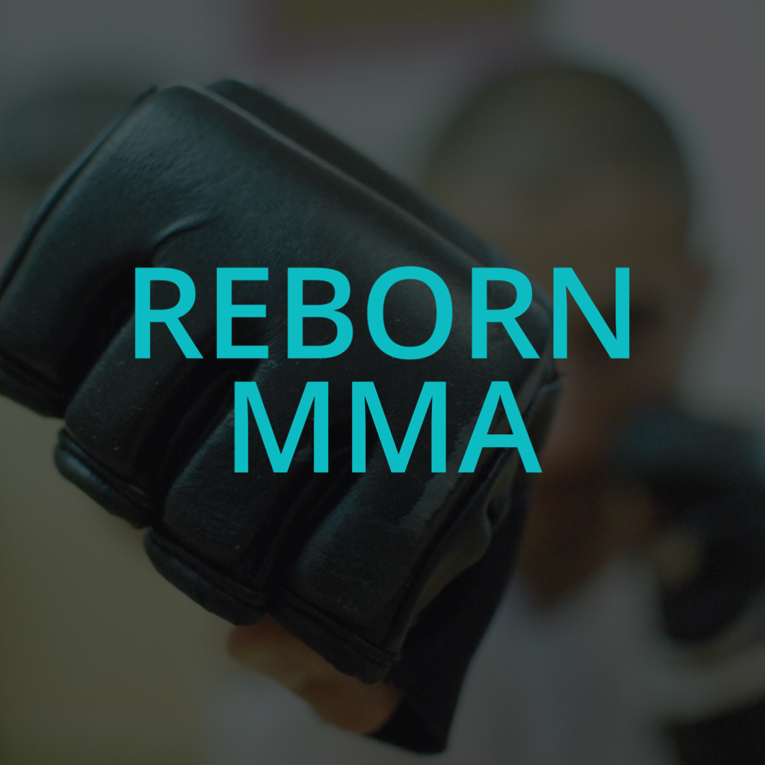 PGM KORTAL Web Site Affiches REBORN MMA PGM KORTAL Web Site Affiches REBORN Triptik
