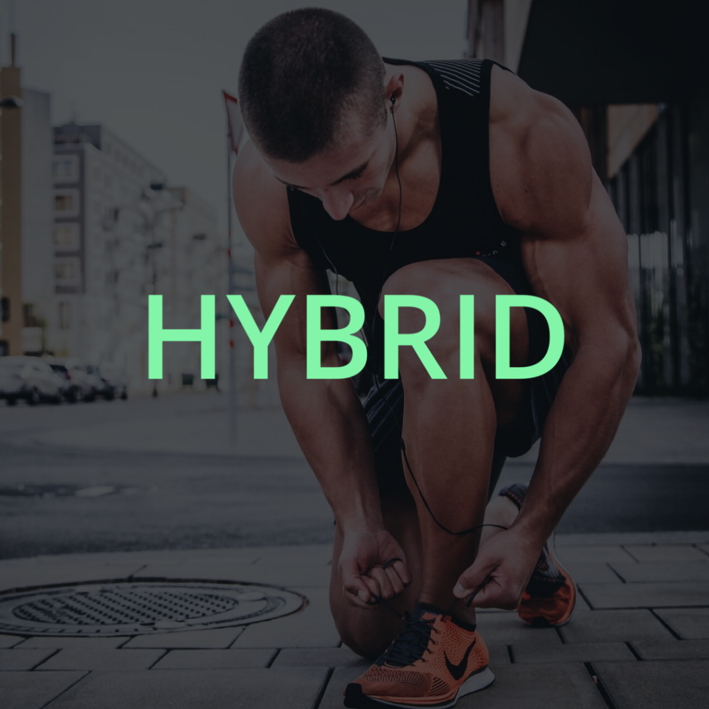 PGM KORTAL Web Site Affiches HYBRID 2025