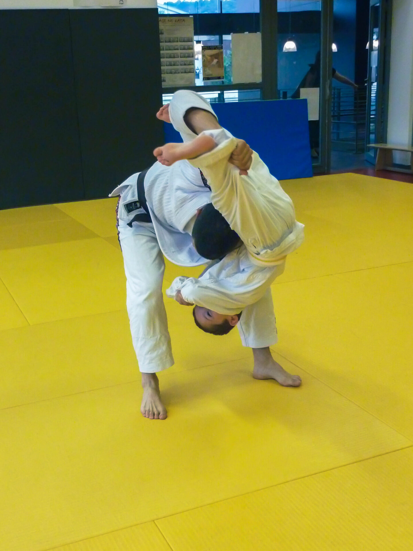 Dim Kortal Performance Judo-1040186