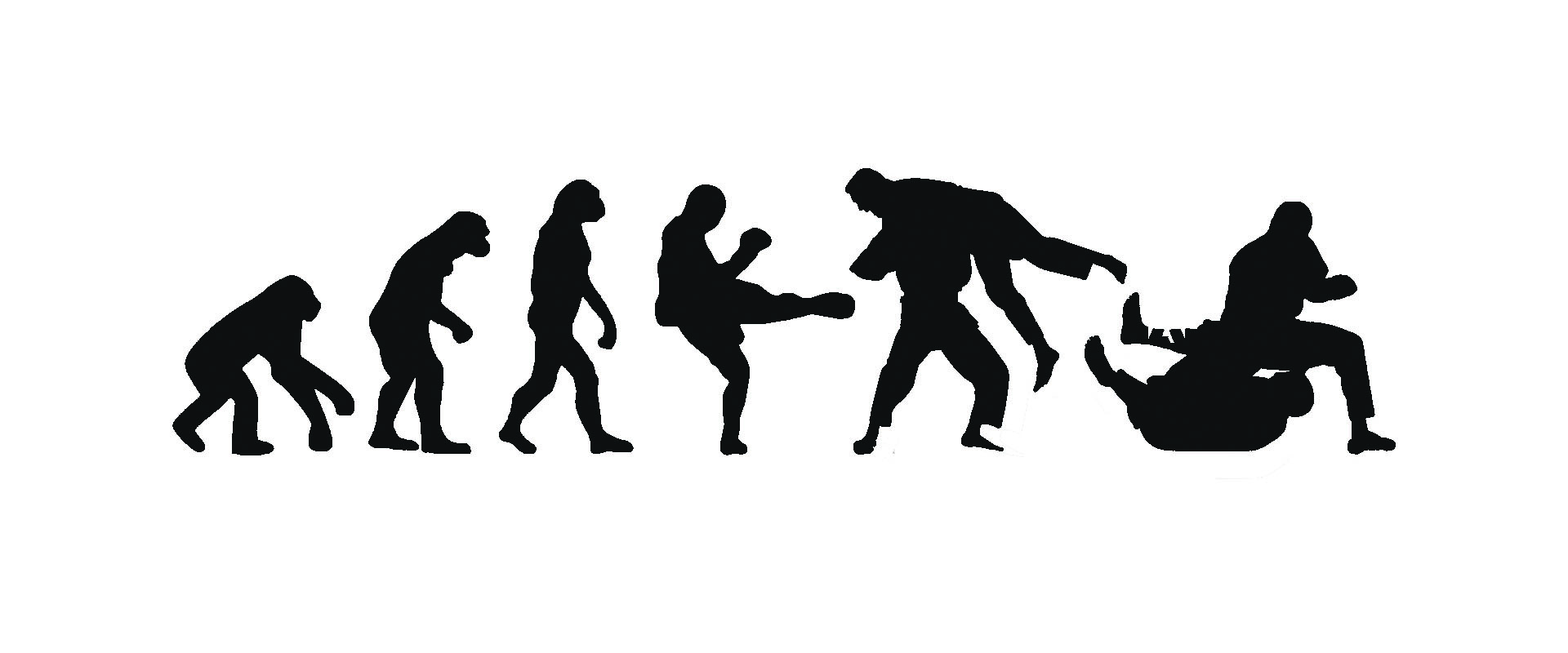 KORTAL EVOLUTION Bannière Picto Evolution Fight Silhouettes KORTAL