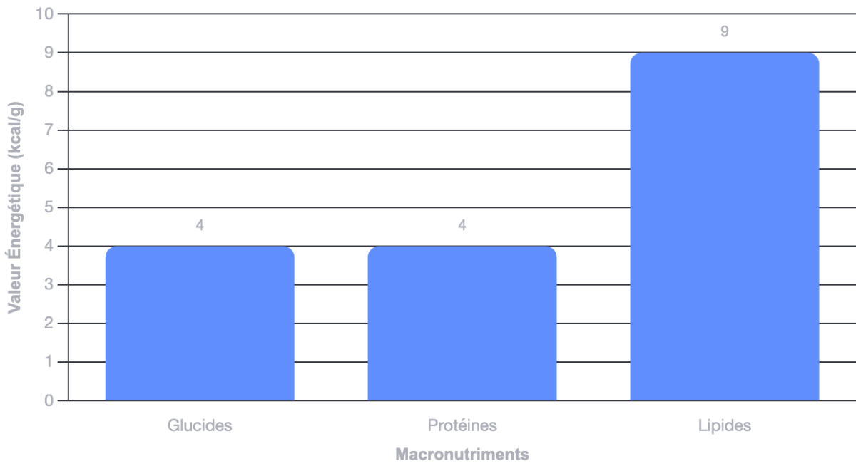 tableau Valeur énergétique Kcal pour les macronutriments : Glucides Protéines Lipides