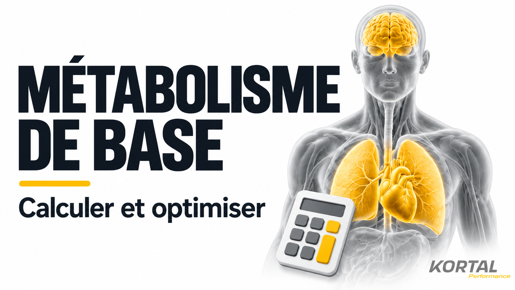 Métabolisme de Base couverture Calculet et Optimiser